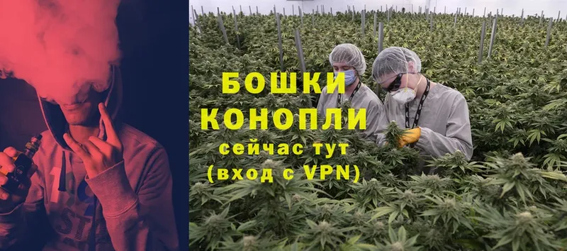 мега ссылки  Буинск  Каннабис Bruce Banner 